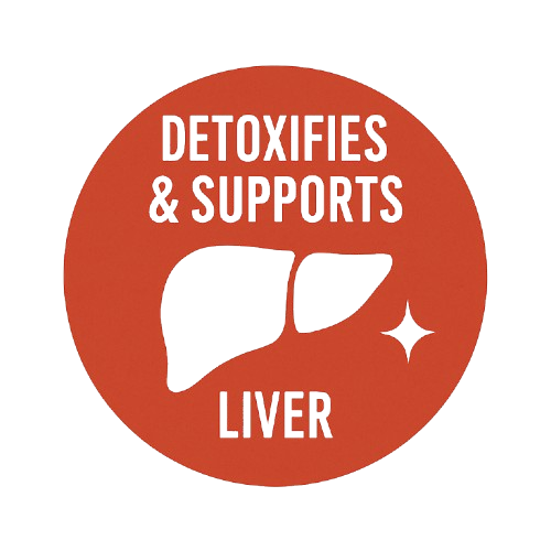 Detoxifies & Supports Liver