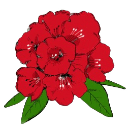 cropped-favicon